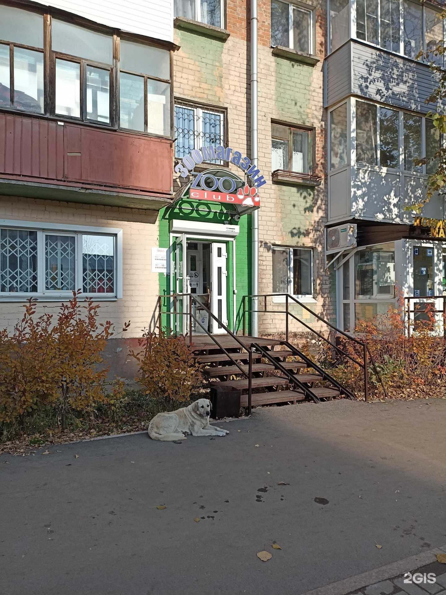 Отзывы на компанию Zooclub в Перми c фото