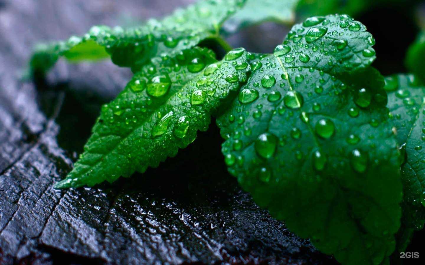 Отзывы на компанию Уралпротект в Магнитогорске c фото