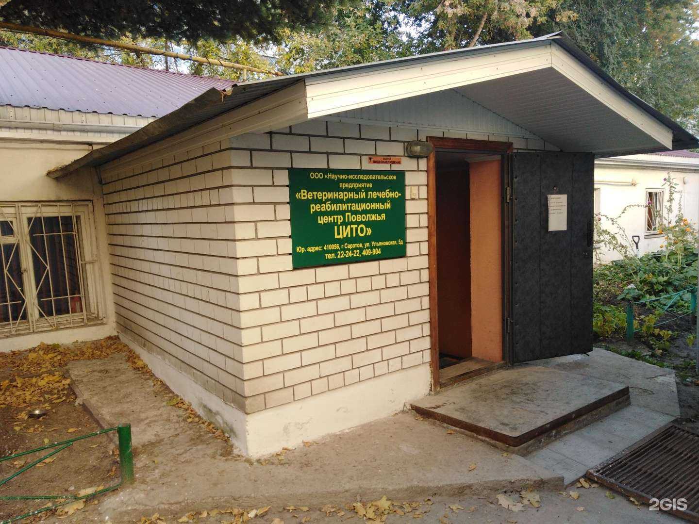 Отзывы на компанию Цито в Саратове c фото - фотография 2 из 2