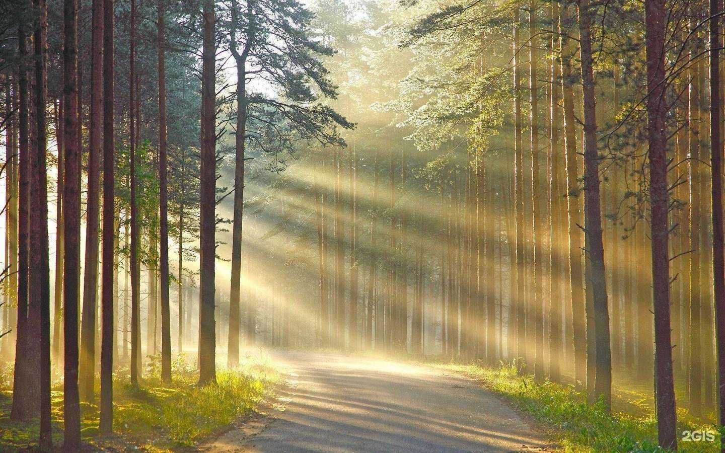 Отзывы на компанию Уральские Зори в г. Челябинск c фото