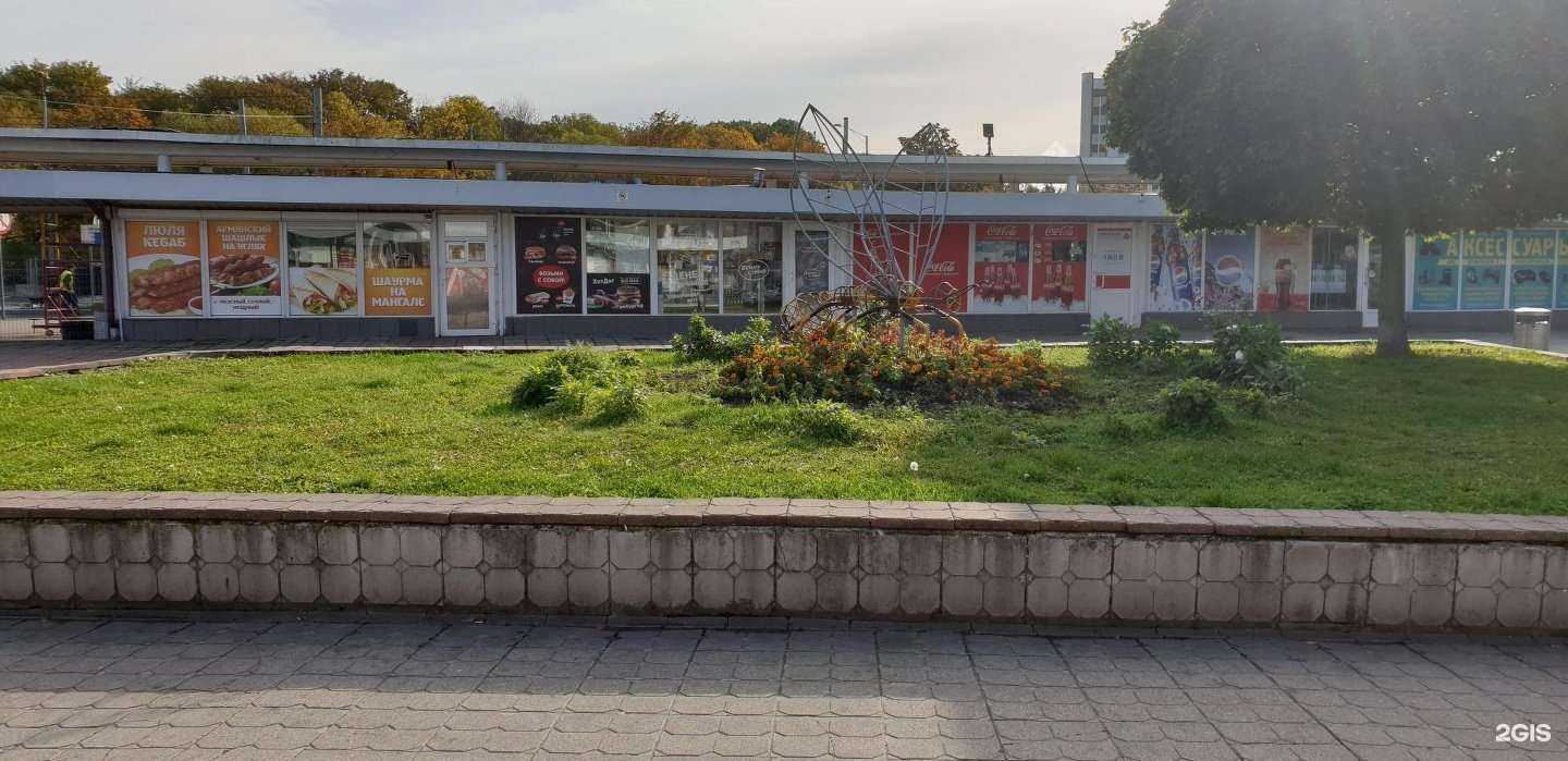 Отзывы на компанию Блины-те самые- в Калининграде c фото - фотография 2 из 2