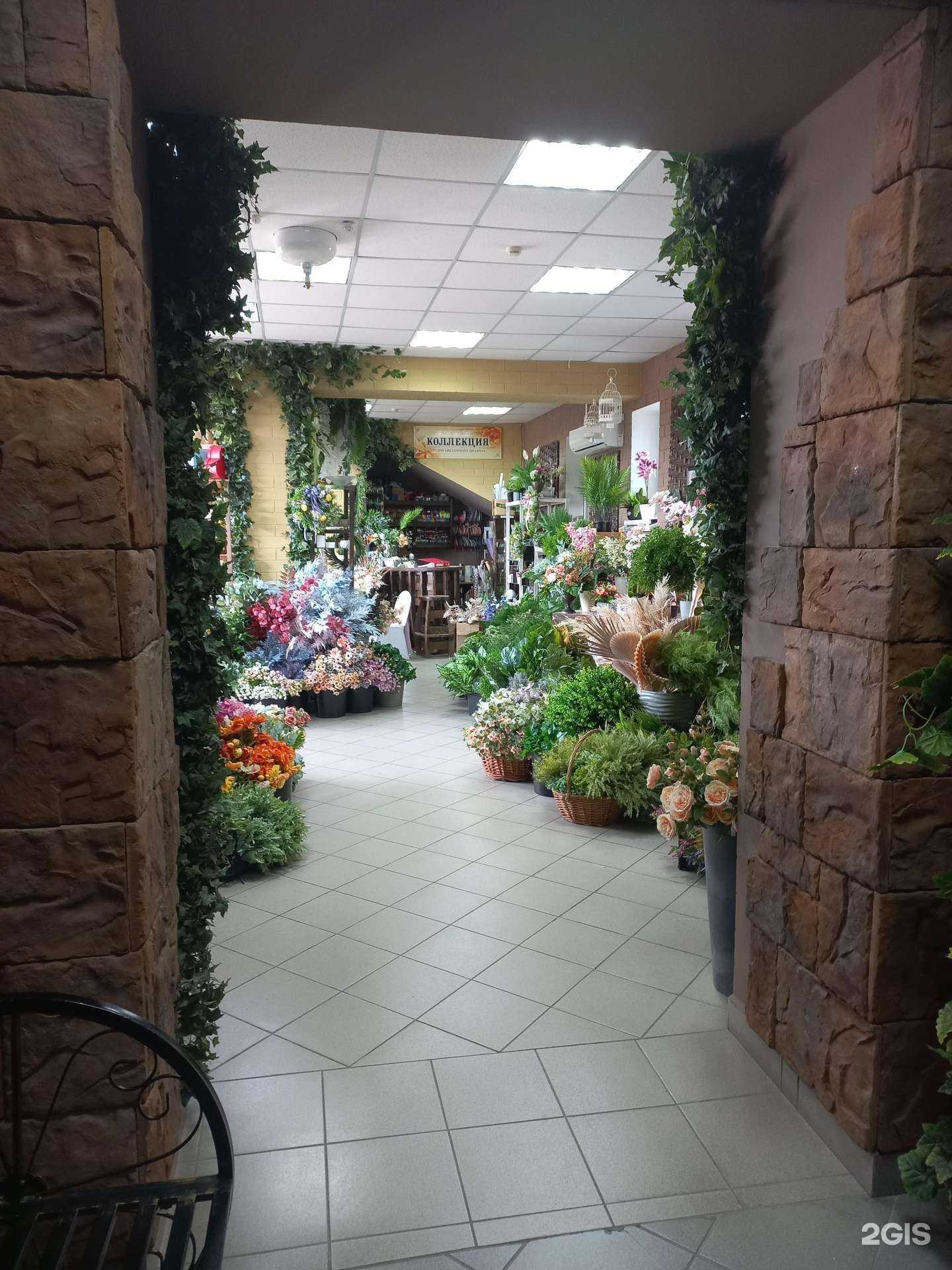 Отзывы на компанию Коллекция в Сызрани c фото