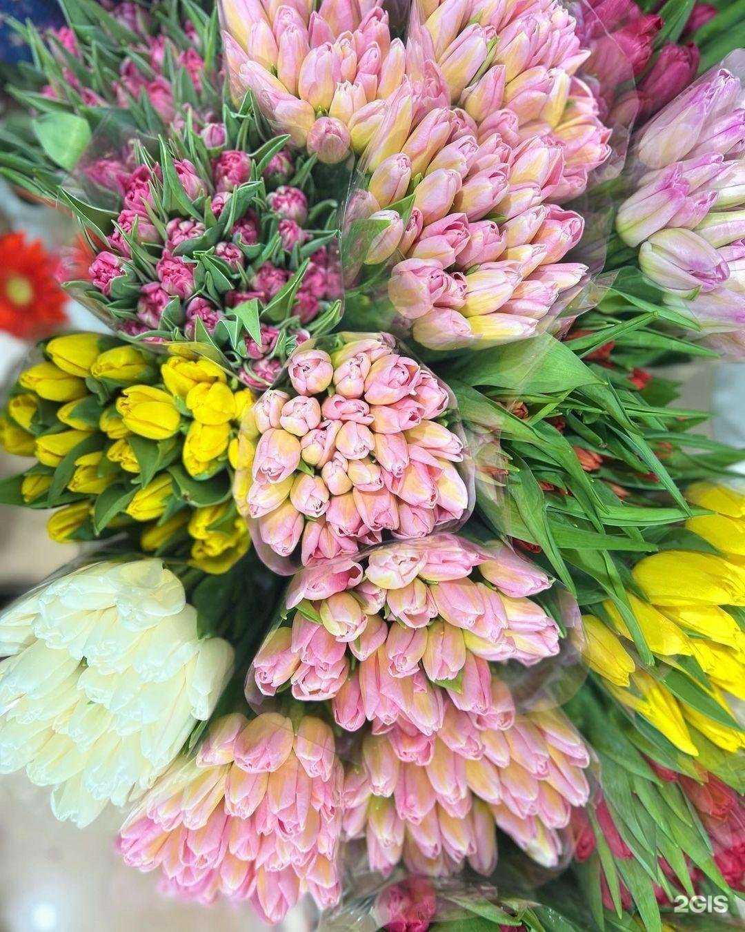 Отзывы на компанию 1001 роза в Оренбурге c фото