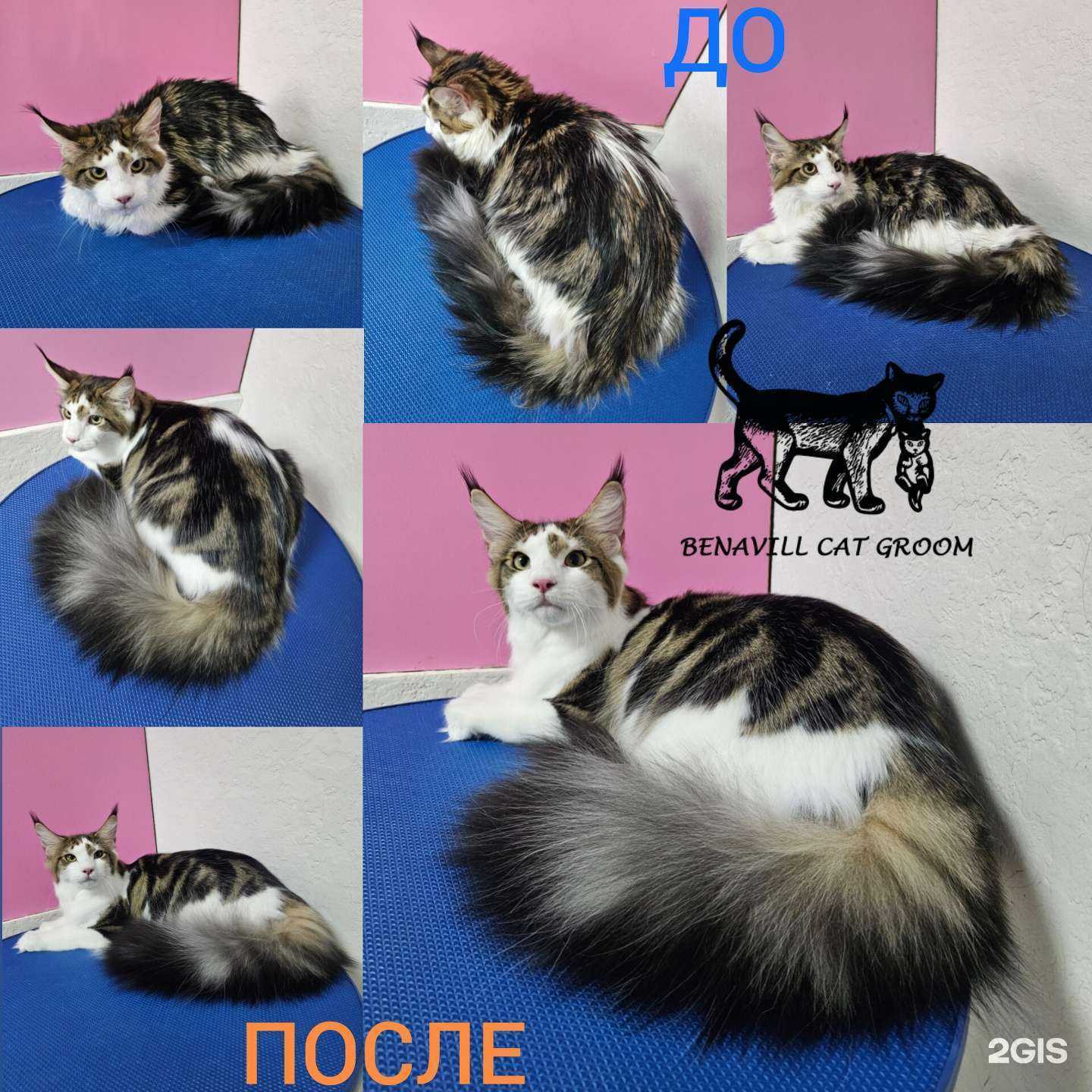 Отзывы на компанию Benavill в г. Красноярск c фото