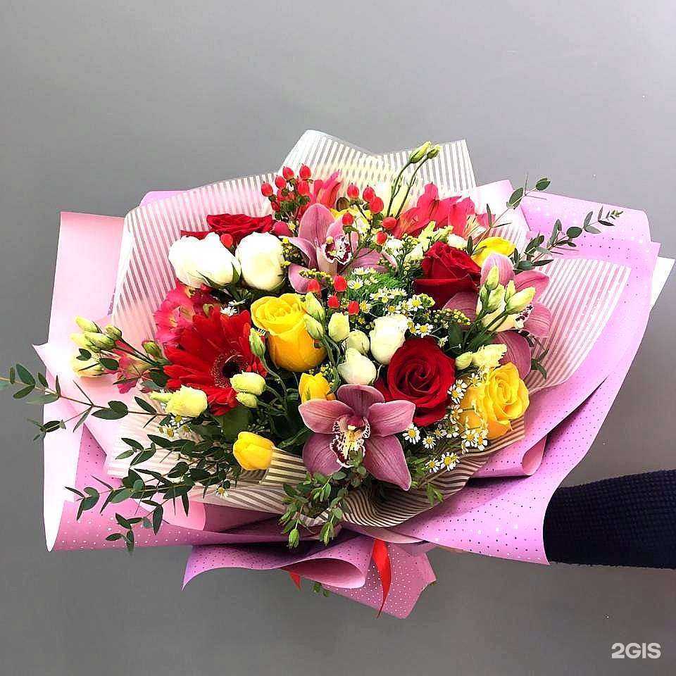 Отзывы на компанию Ирис в г. Нижневартовск c фото