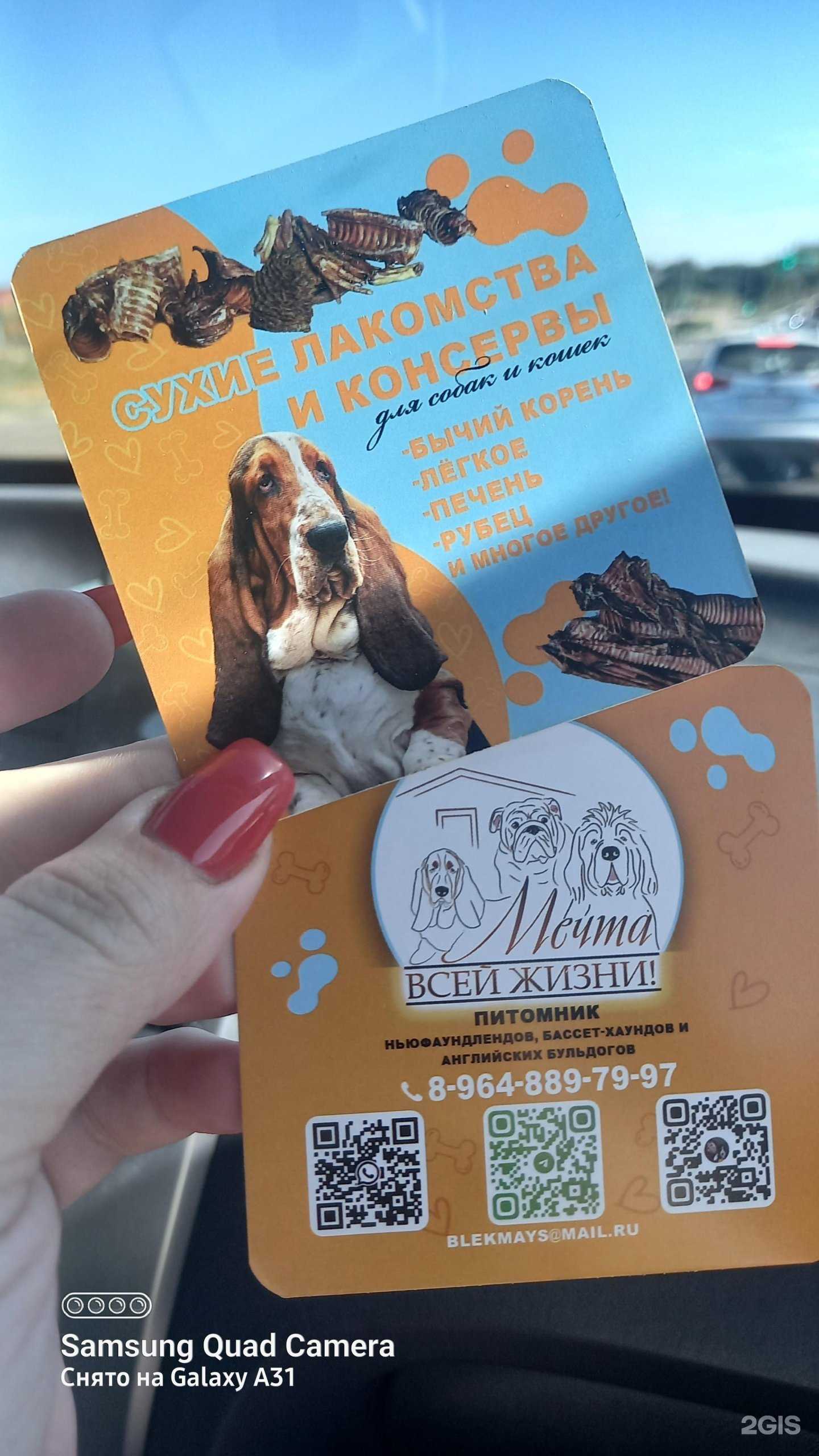 Отзывы на компанию Арт Каспий в г. Астрахань c фото