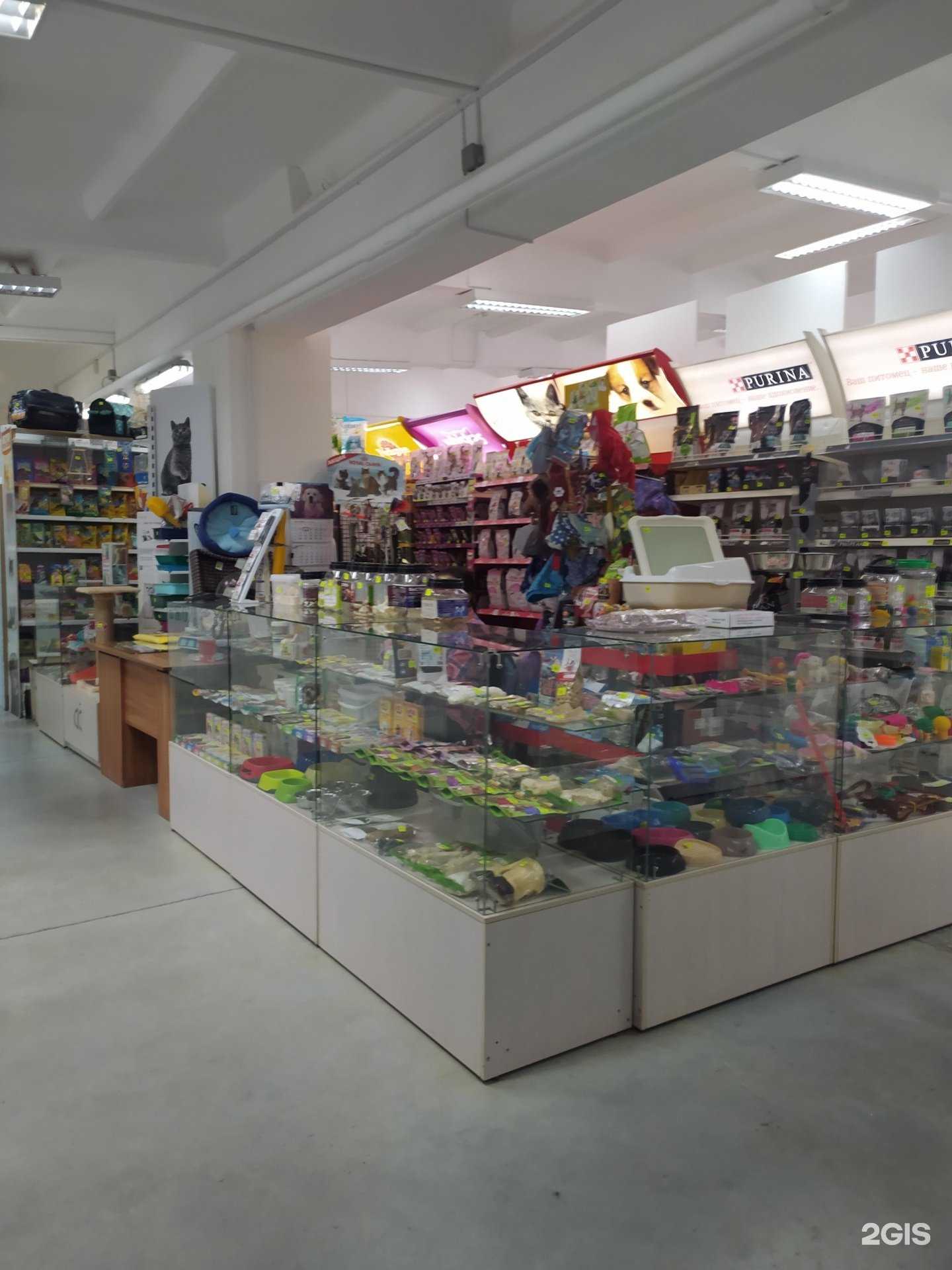 Отзывы на компанию Дружок в Омске c фото