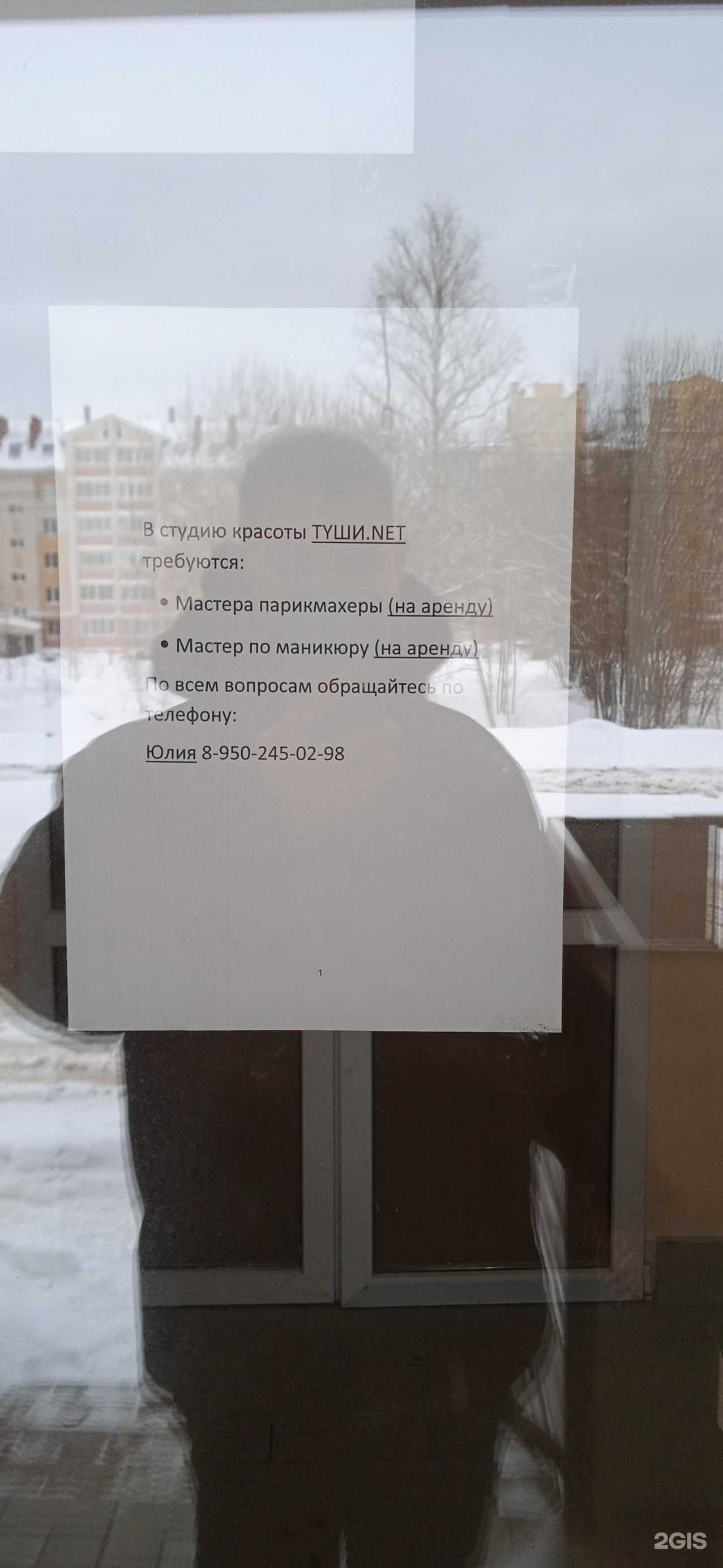 Отзывы на компанию Туши net в Костроме c фото