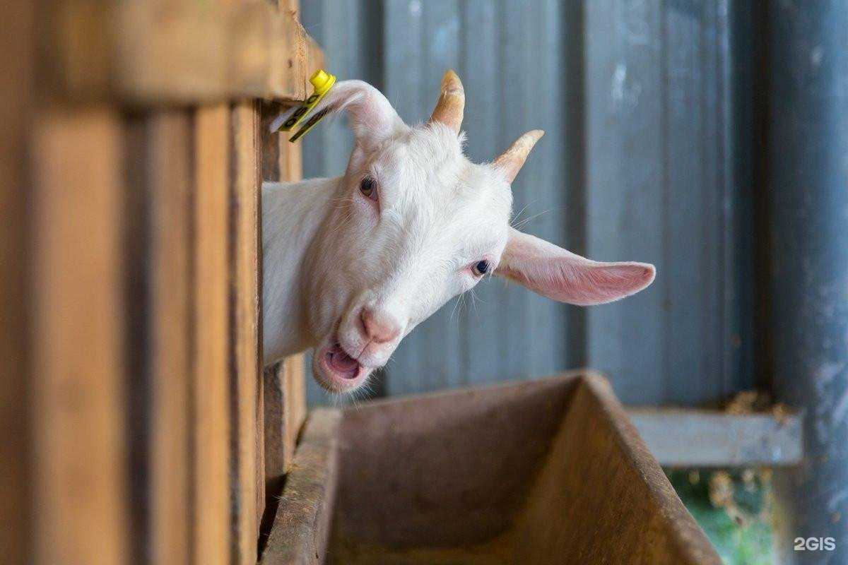 Отзывы на компанию Комби+ в г. Арзамас c фото