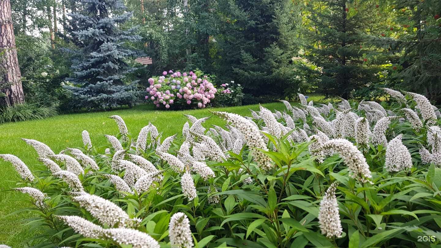 Отзывы на компанию Авторские Сады в г. Барнаул c фото