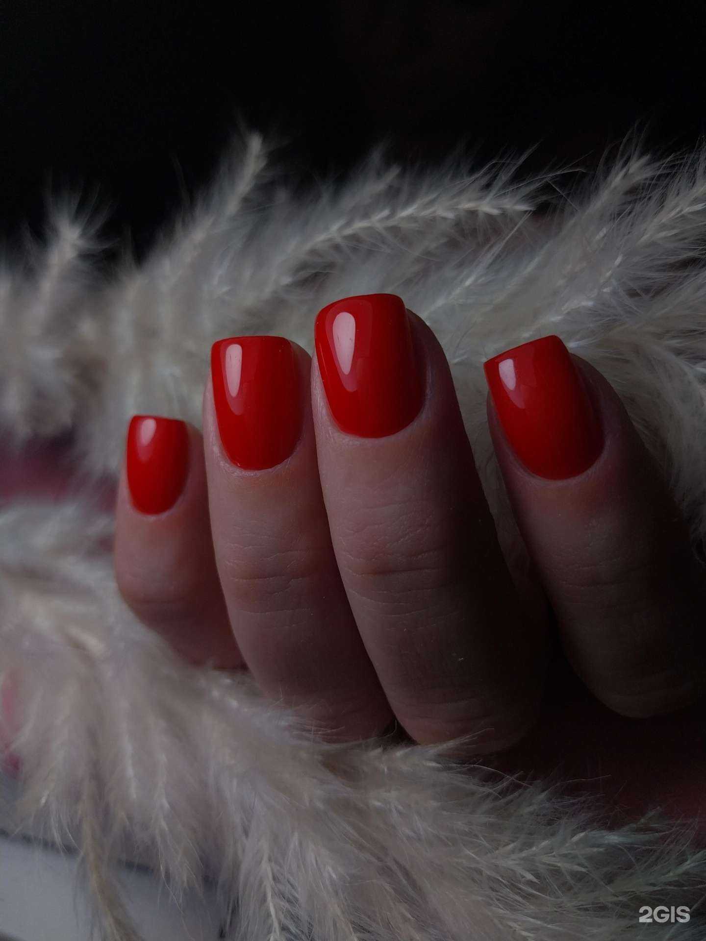 Отзывы на компанию Estetika в Абакане c фото