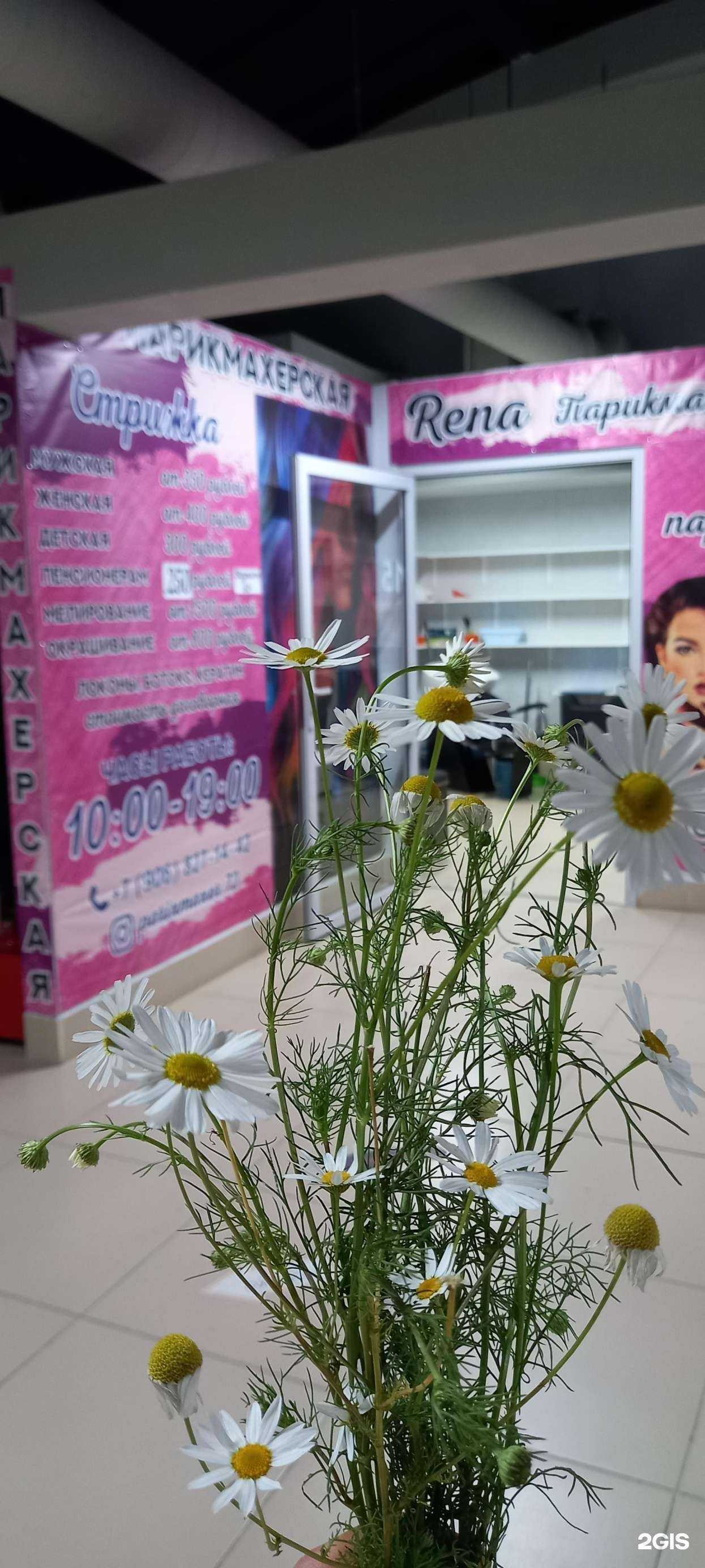 Отзывы на компанию Рена в Тюмени c фото