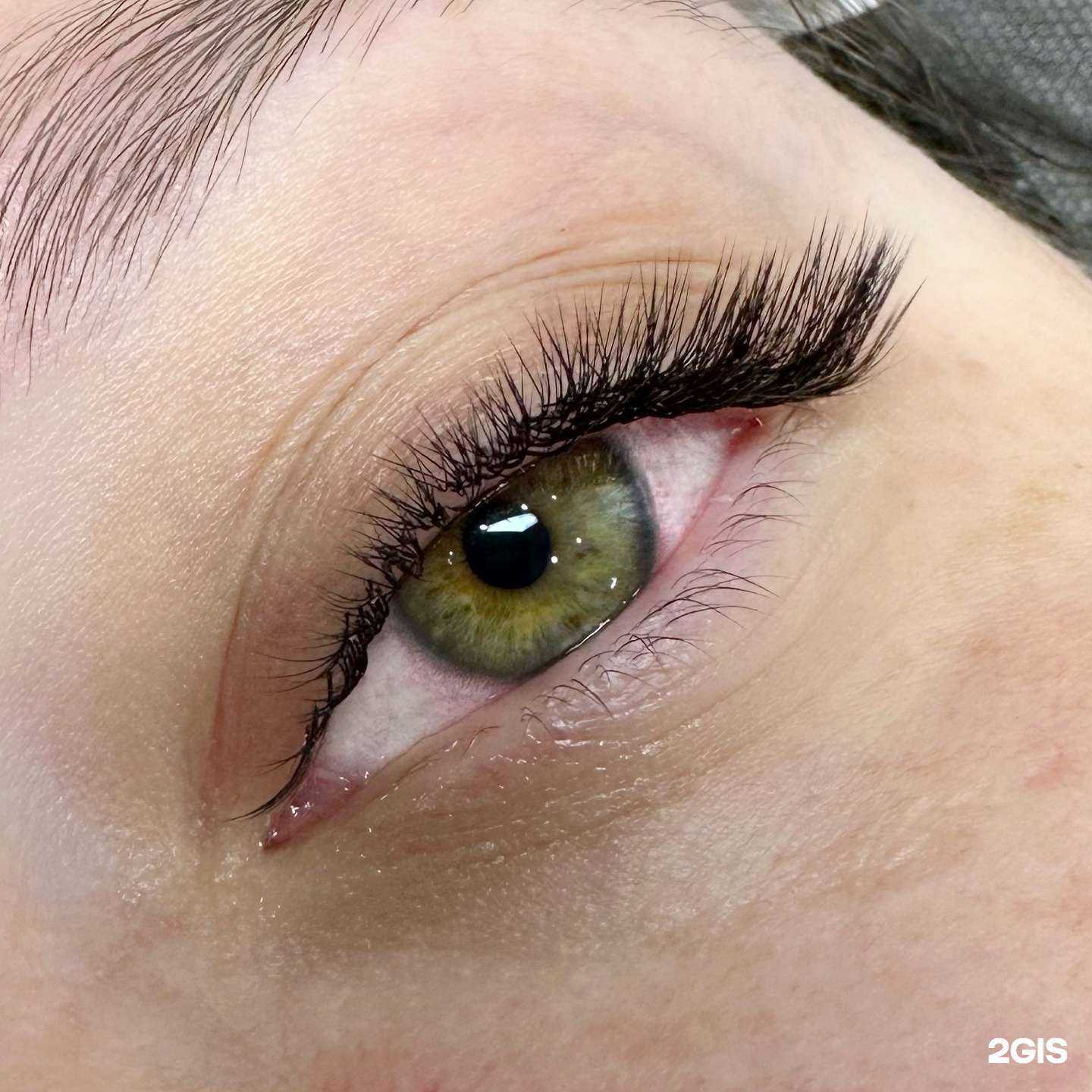 Отзывы на компанию Alina Filippova Lash в Ставрополе c фото