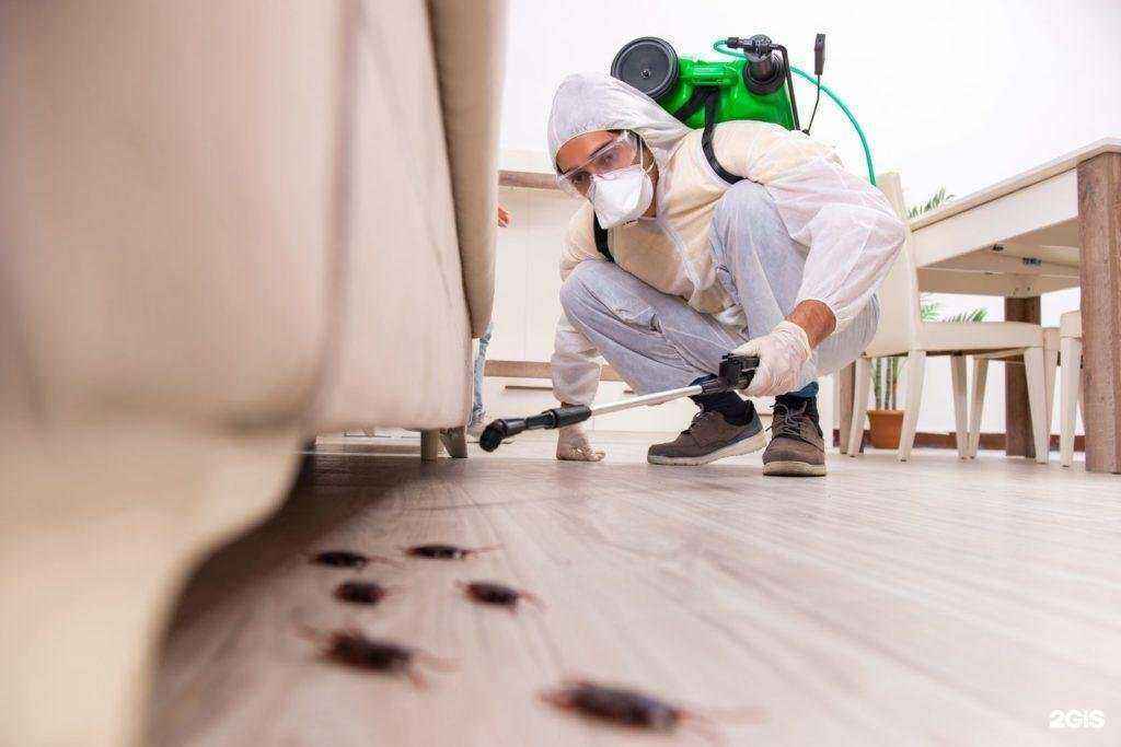 Отзывы на компанию Эксперт Клининг в г. Анапа c фото