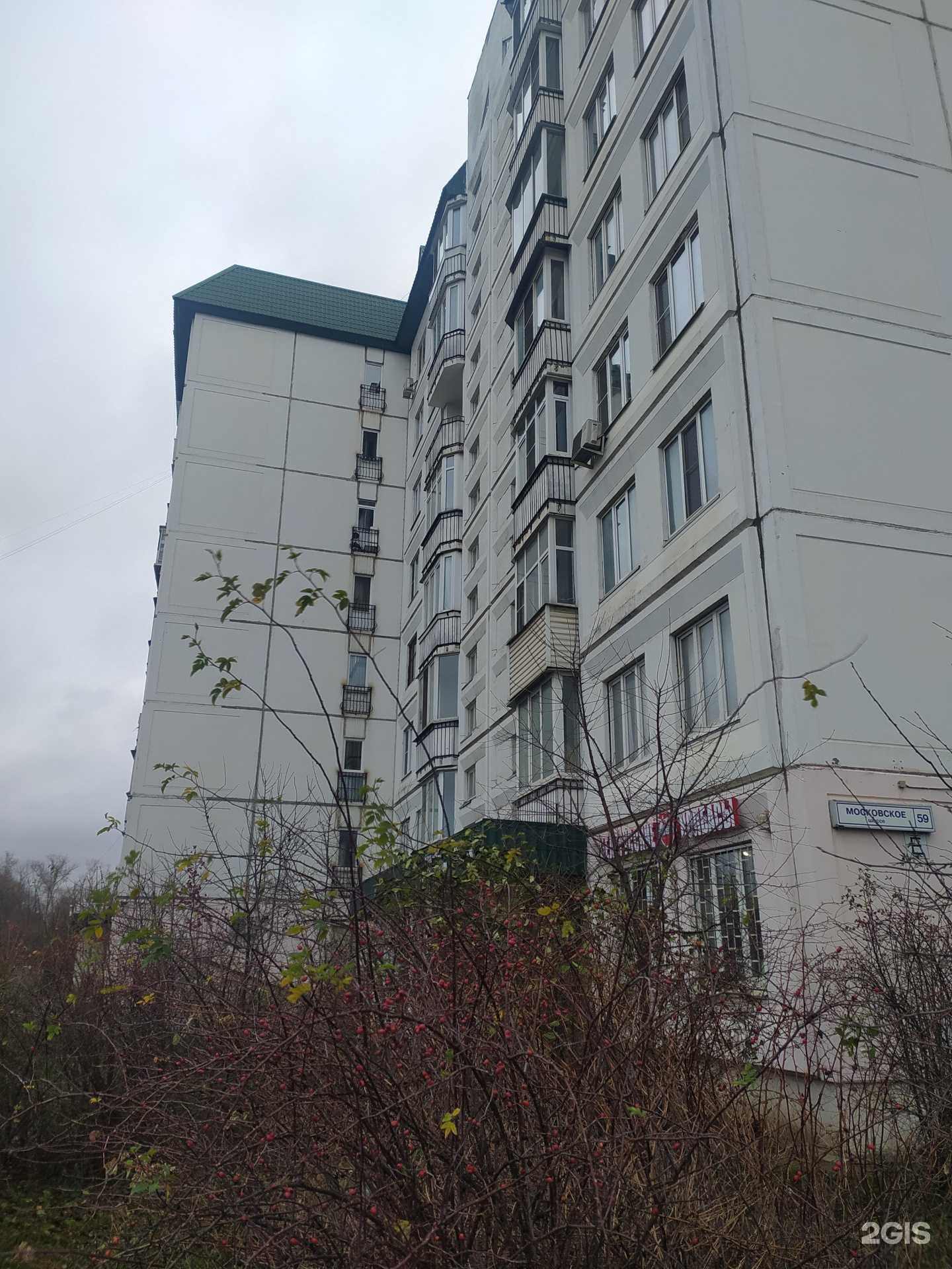 Отзывы на компанию Вета в Долгопрудном c фото - фотография 2 из 2