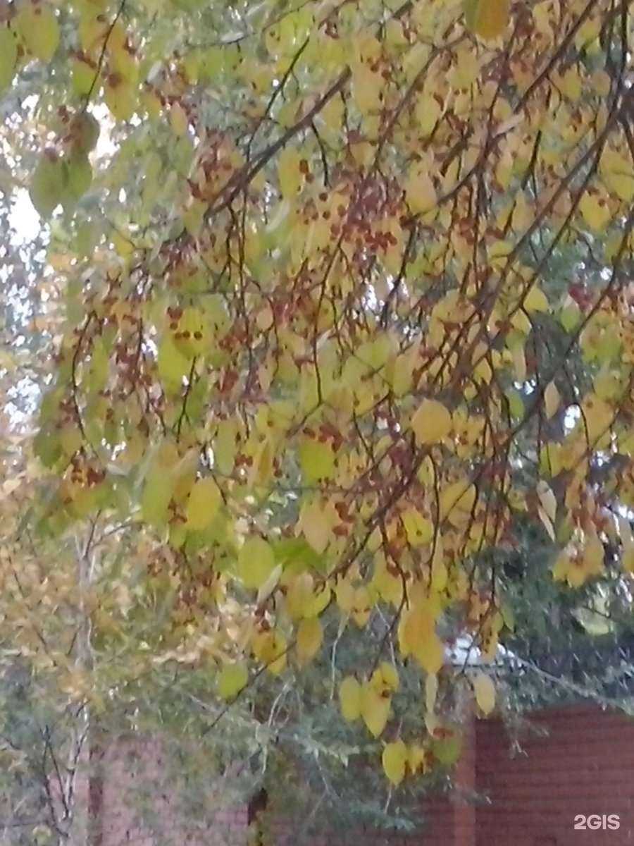 Отзывы на компанию Сибирский корпоративный энергетический учебный центр в Омске c фото - фотография 2 из 2