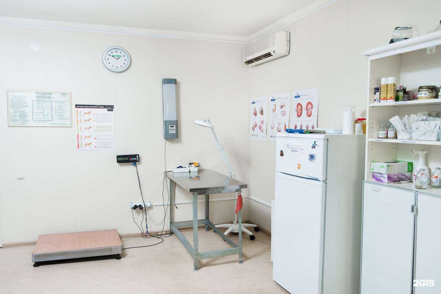 Отзывы на компанию Вет-сервис в Ростове-на-Дону c фото