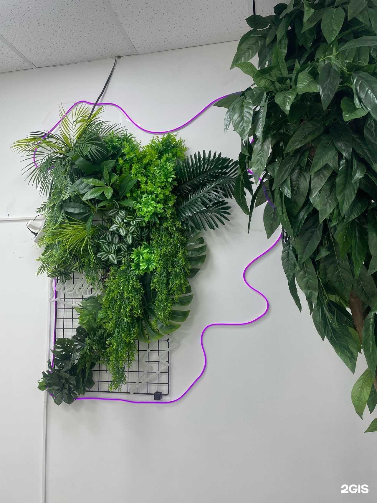 Отзывы на компанию Take Phone в Тюмени c фото