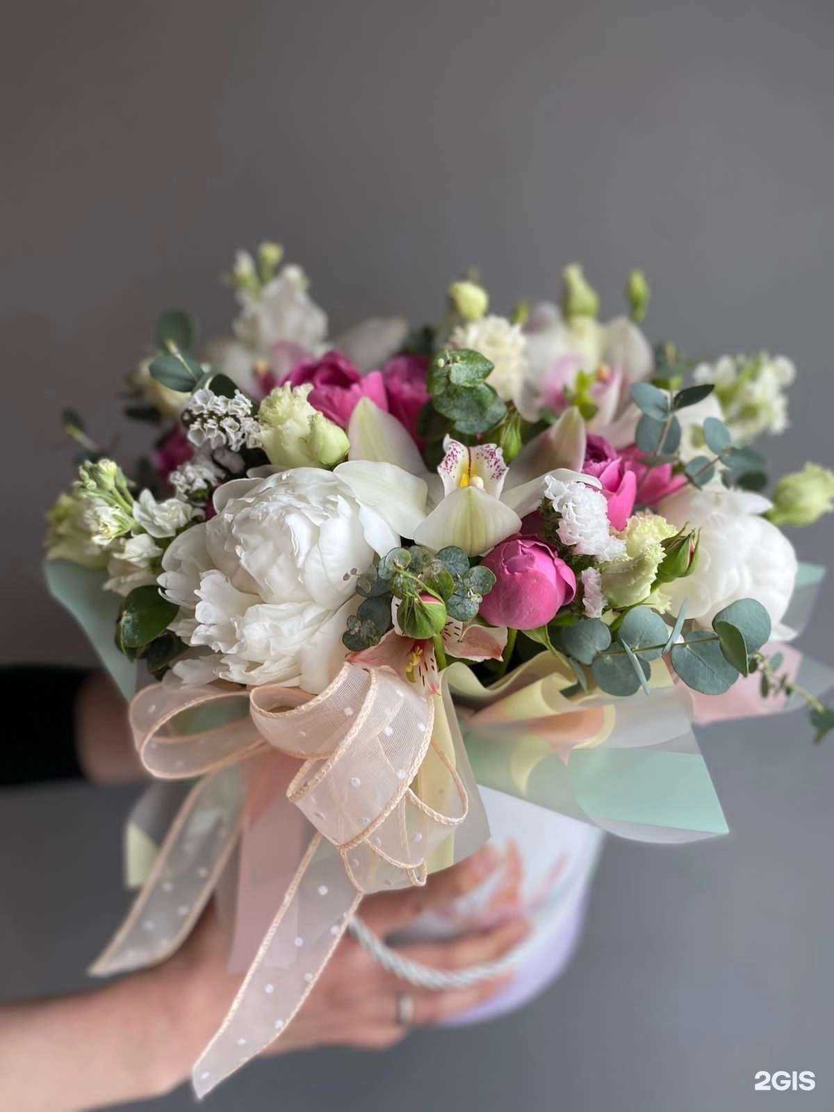 Отзывы на компанию Kris Kapriz в Анапе c фото