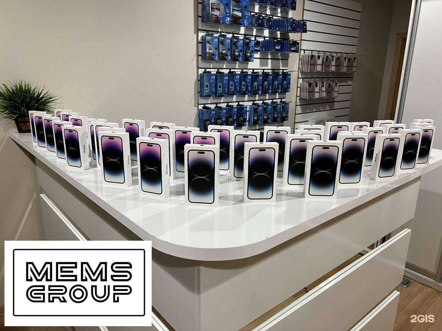 Отзывы на компанию Mems Group в Владивостоке c фото