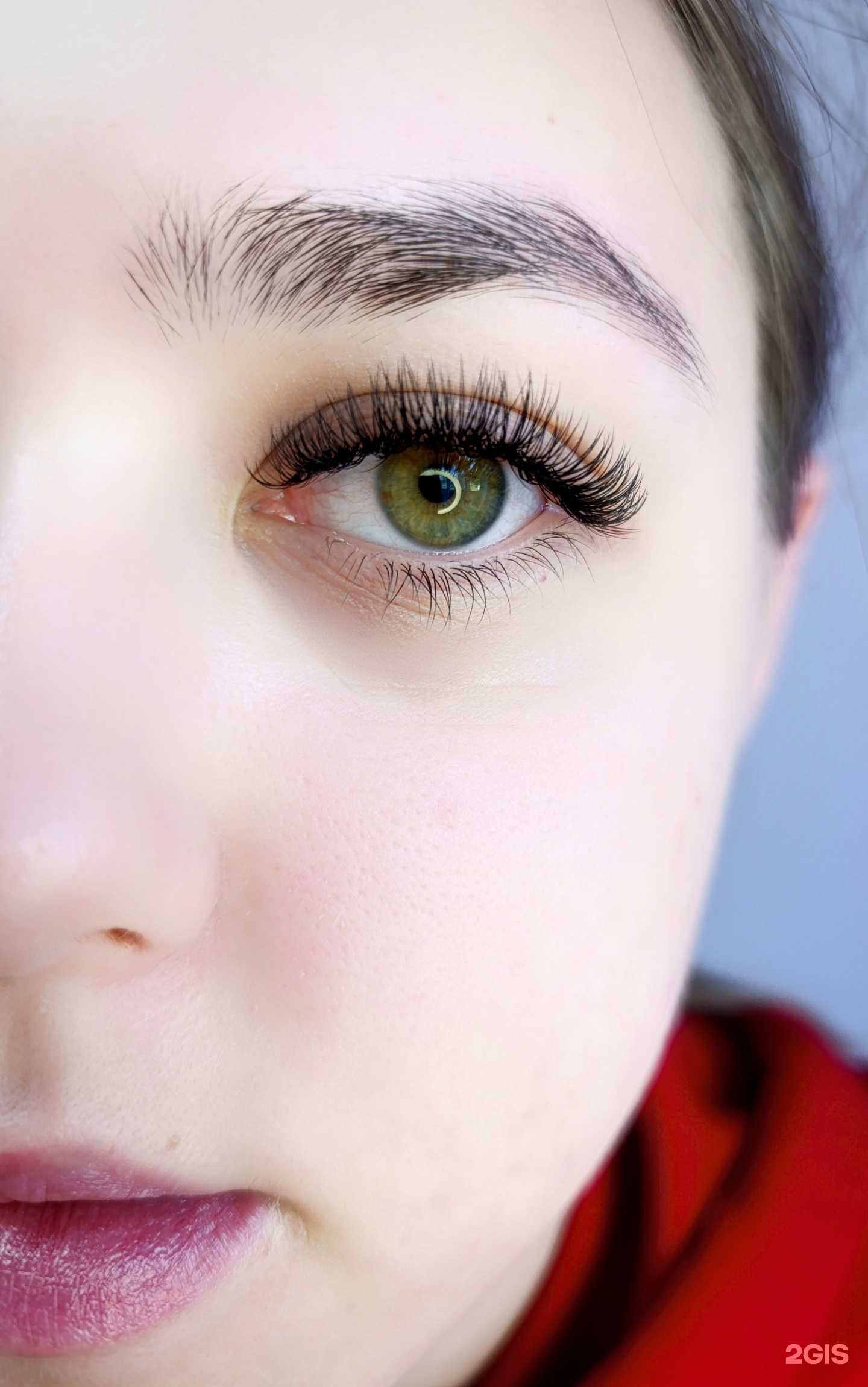 Отзывы на компанию Polly в Новосибирске c фото