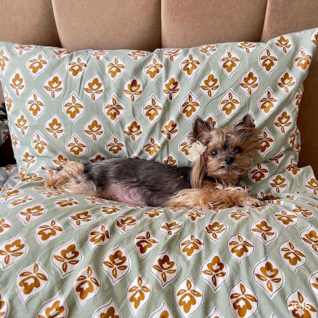 Отзывы на компанию Котопес в г. Щёлково c фото