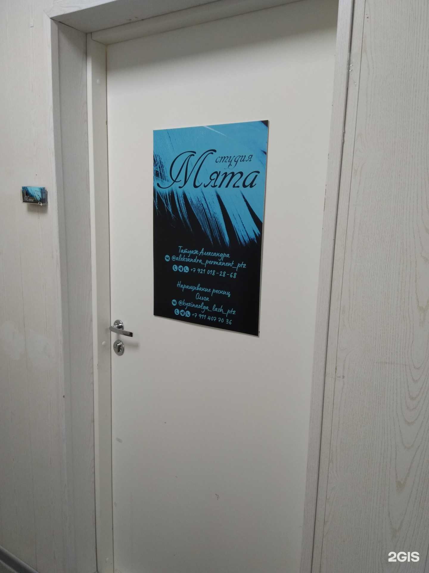 Отзывы на компанию Мята в г. Петрозаводск c фото