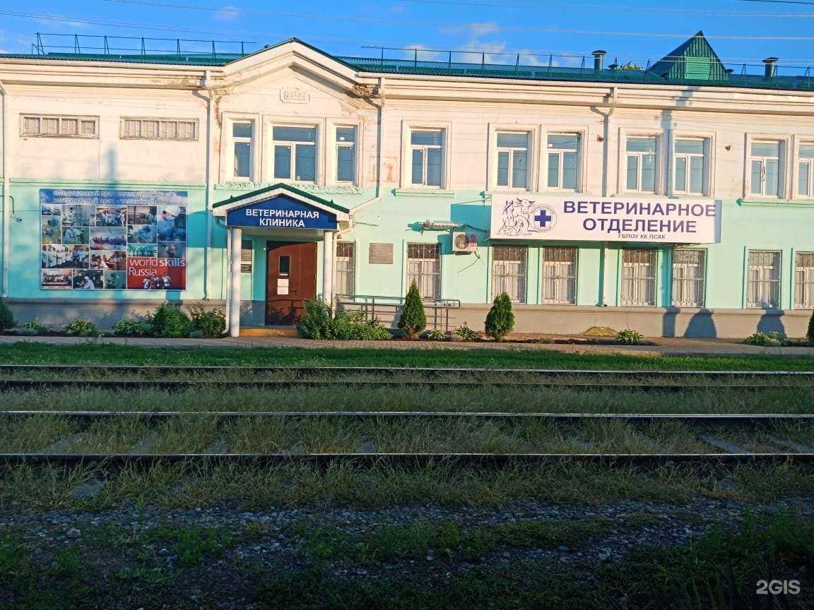 Отзывы на компанию Ветеринарный центр в Краснодаре c фото