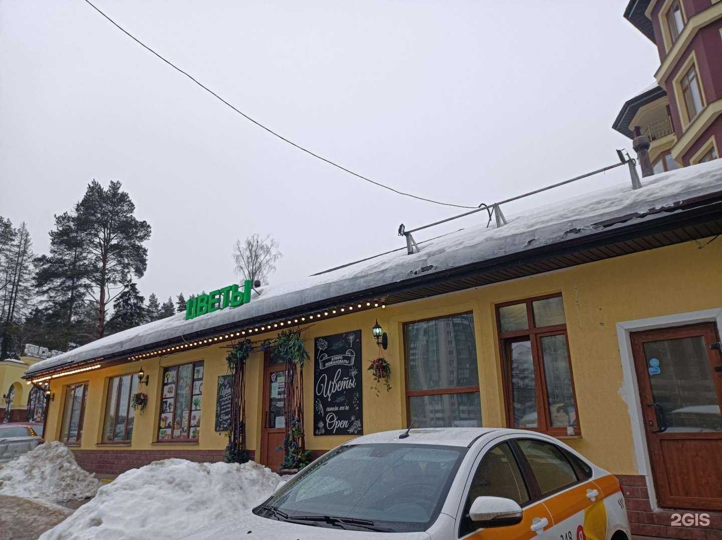 Отзывы на компанию Одуванчик в Красногорске c фото - фотография 2 из 2