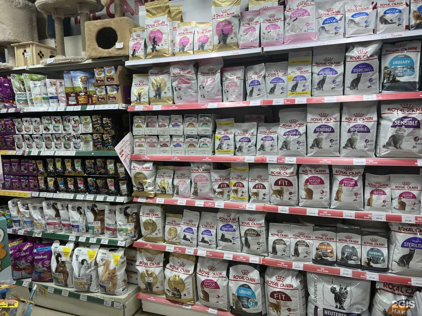 Отзывы на компанию Матильда в Магнитогорске c фото