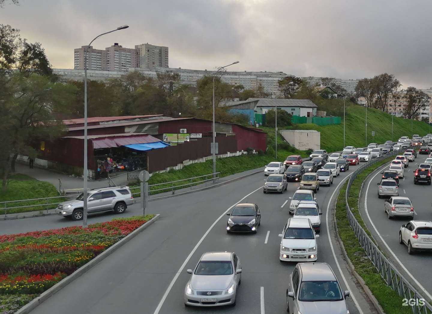 Отзывы на компанию Миша и Вика в Владивостоке c фото - фотография 2 из 2