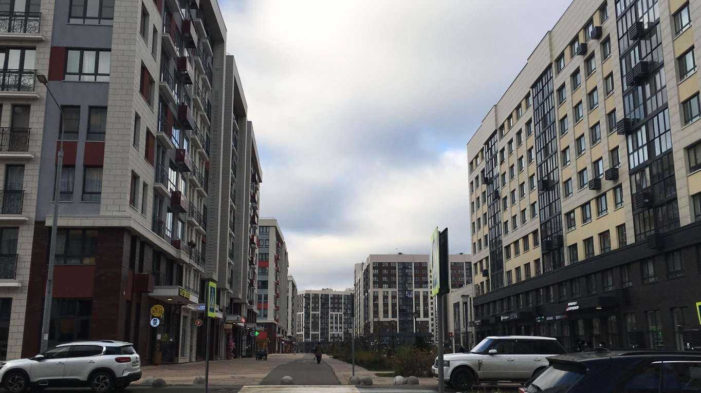 Отзывы на компанию Китенок в Коммунарке c фото - фотография 2 из 2