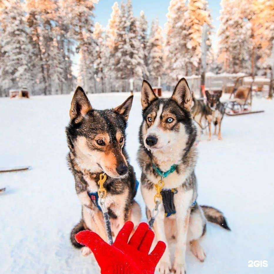 Отзывы на компанию TWIN-Travel в г. Великий Новгород c фото