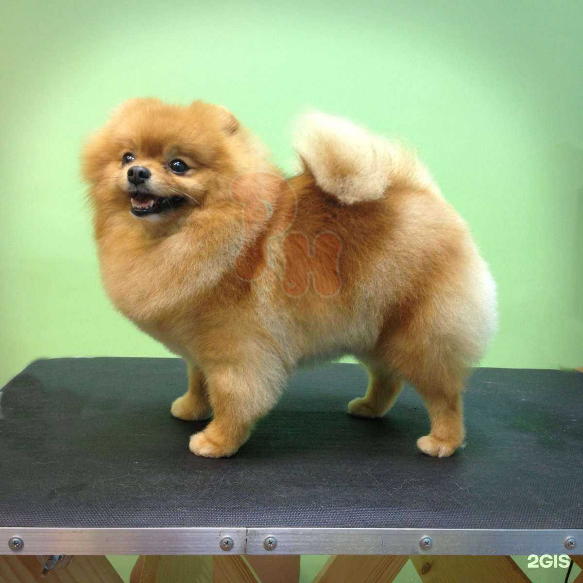 Отзывы на компанию Рыжий нос в Твери c фото