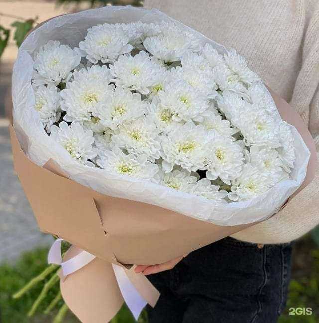 Отзывы на компанию Rosa-vetrov в Новосибирске c фото