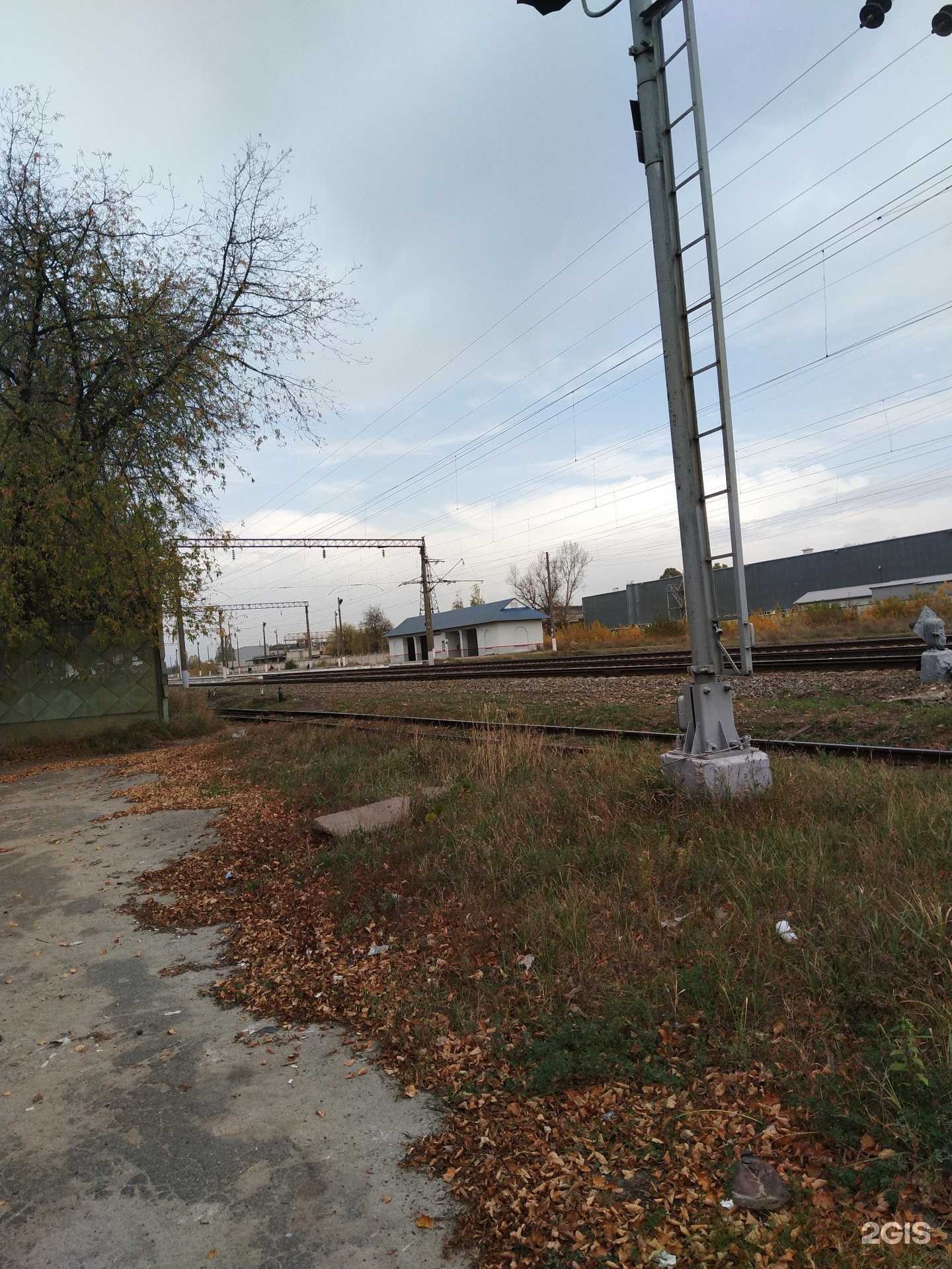 Отзывы на компанию Street Studio в Брянске c фото - фотография 2 из 2