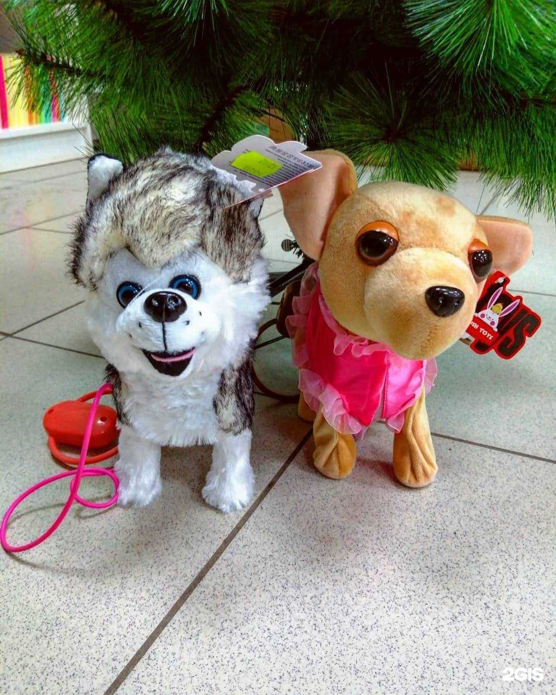 Отзывы на компанию Все для школы в г. Нефтекамск c фото