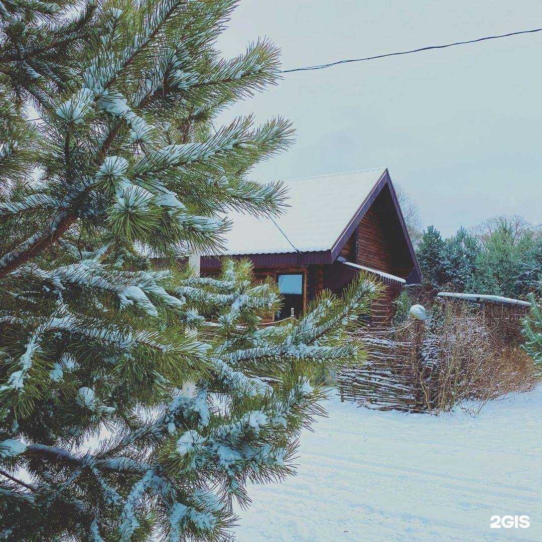 Отзывы на компанию Велесов лес в г. Тула c фото