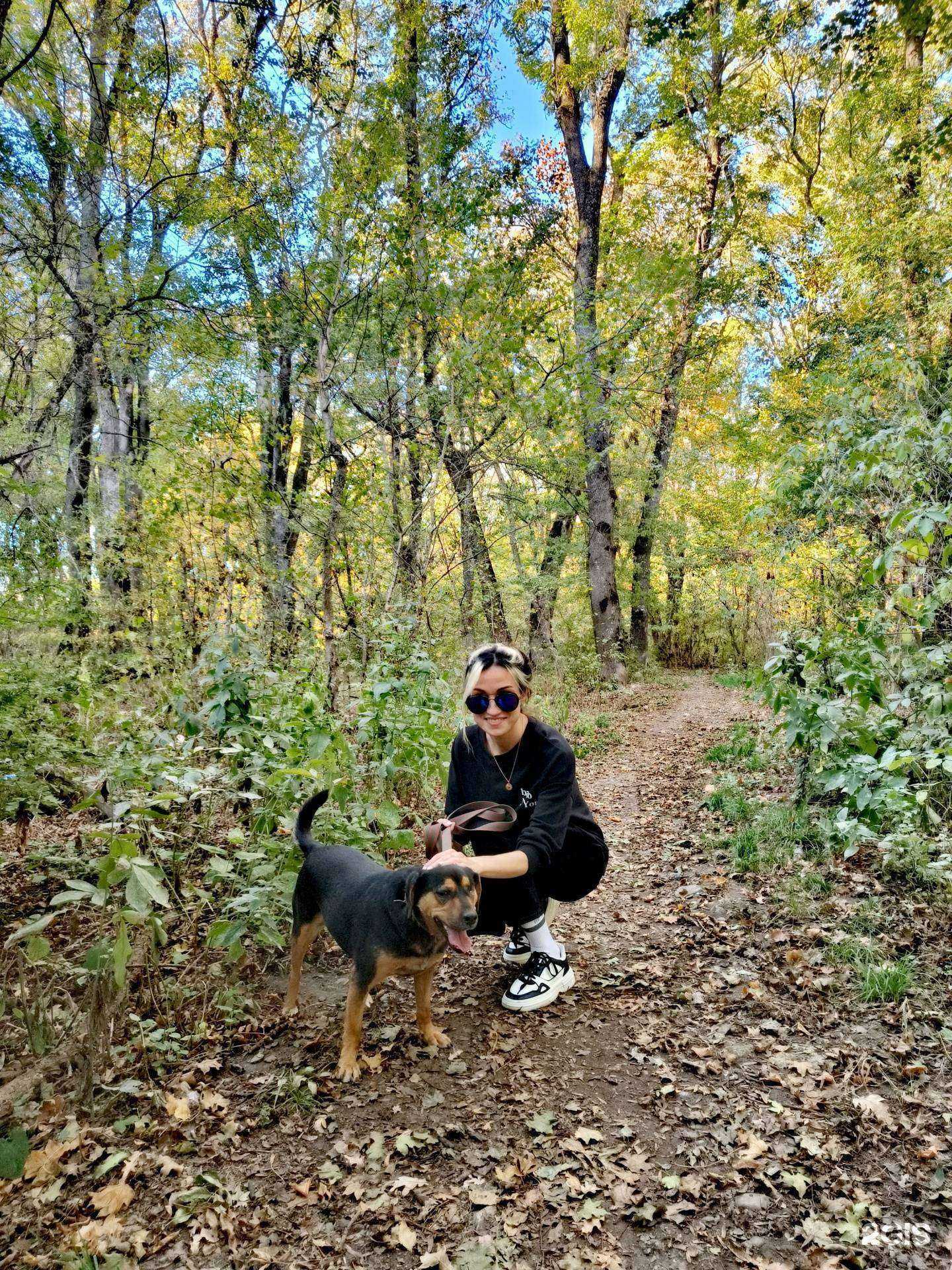 Отзывы на компанию Лучший друг в Ставрополе c фото