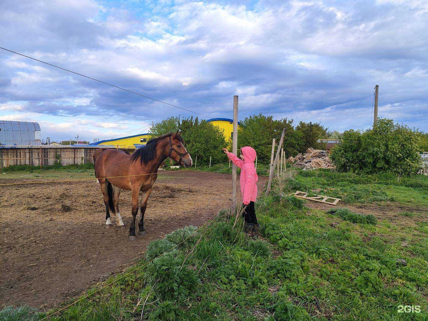 Отзывы на компанию Орловский дворик в г. Челябинск c фото