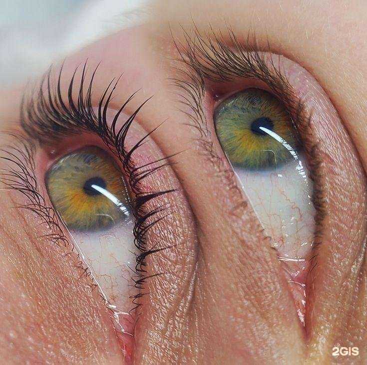 Отзывы на компанию Lash&Brow в г. Томск c фото