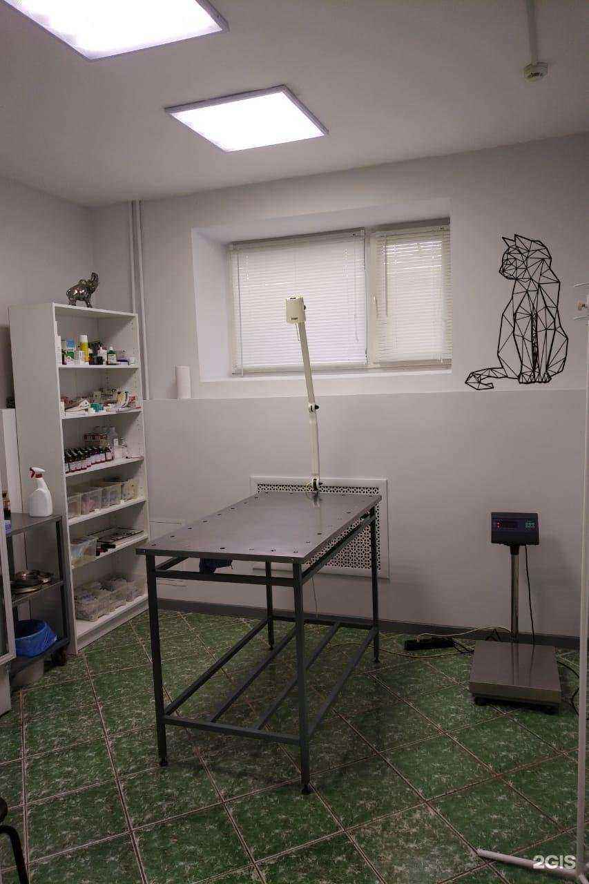 Отзывы на компанию 6 слонов в Казани c фото