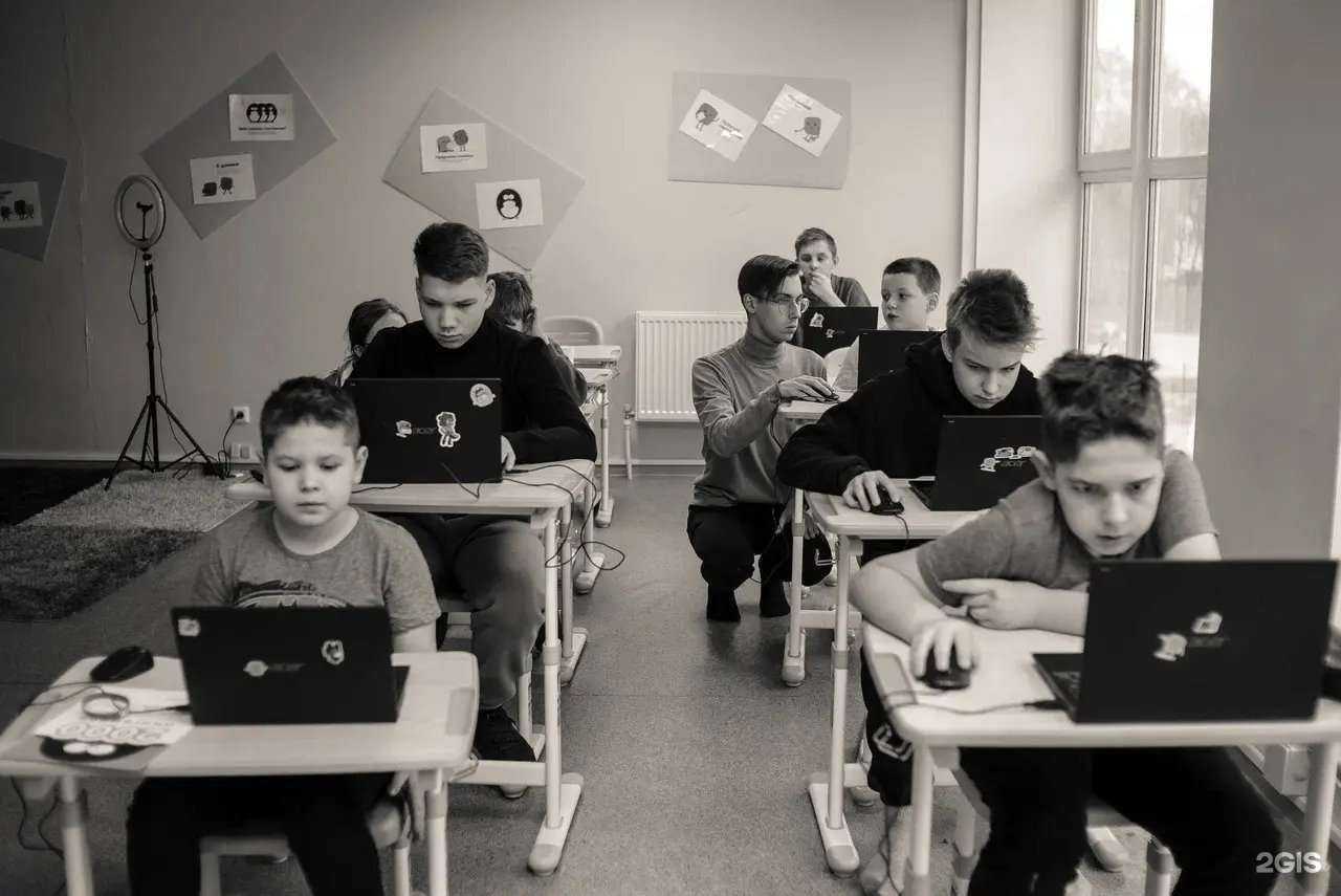 Отзывы на компанию Софтиум в Иванове c фото