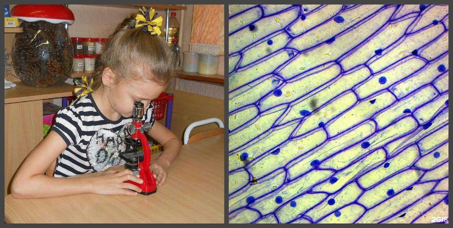 Отзывы на компанию Детский сад №163 в г. Тверь c фото