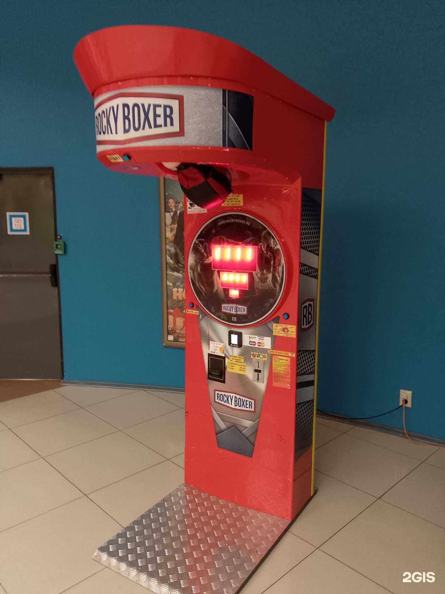 Отзывы на компанию Rocky boxer в Воронеже c фото