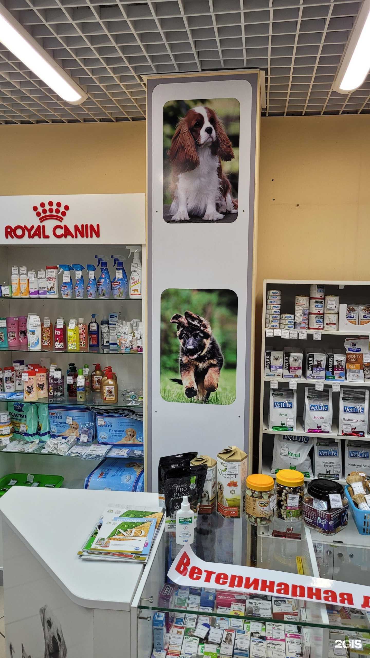 Отзывы на компанию Кошкин дом в Дзержинске c фото