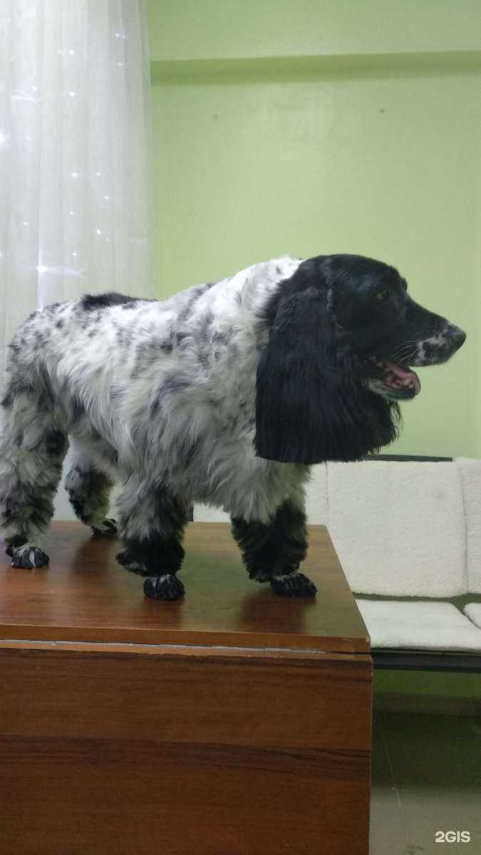 Отзывы на компанию ЛайМур в г. Иркутск c фото