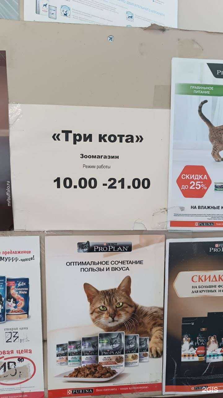 Отзывы на компанию Три кота в г. Новокузнецк c фото