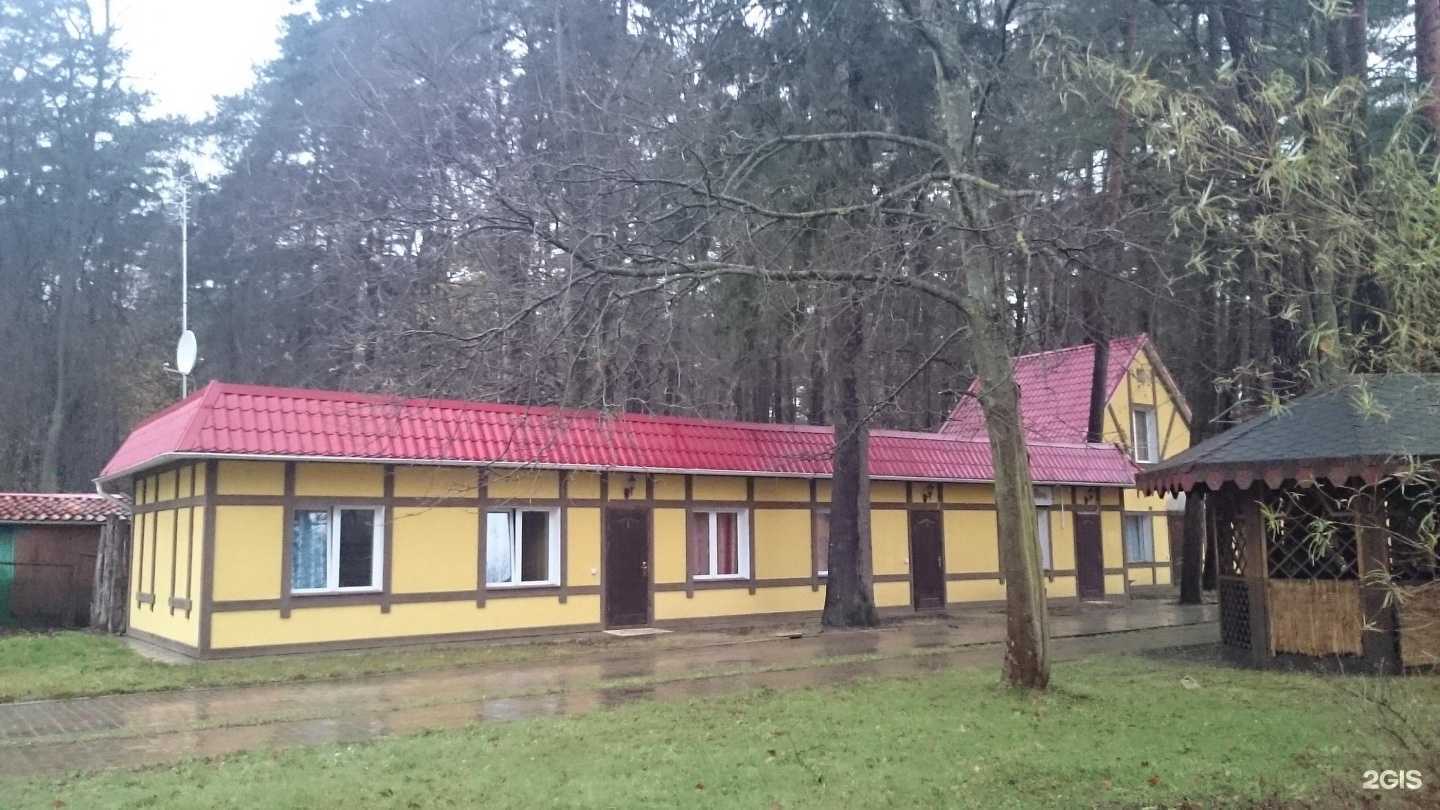 Отзывы на компанию СДЭК в Светлогорске c фото