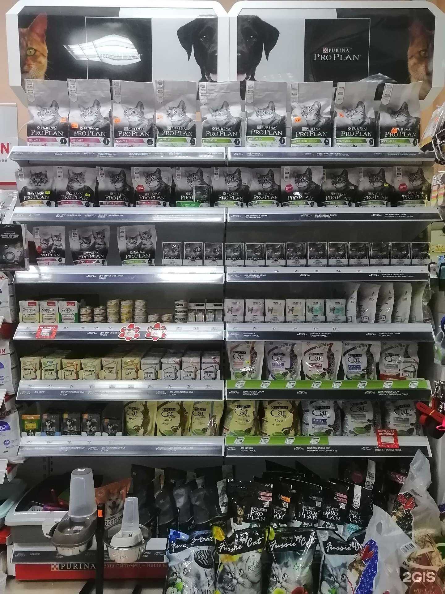 Отзывы на компанию Лапки в г. Кемерово c фото